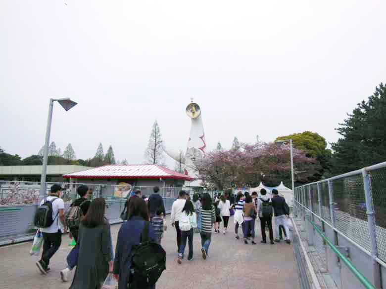 万博記念公園（大阪）のお花見。太陽の塔が見えてきました
