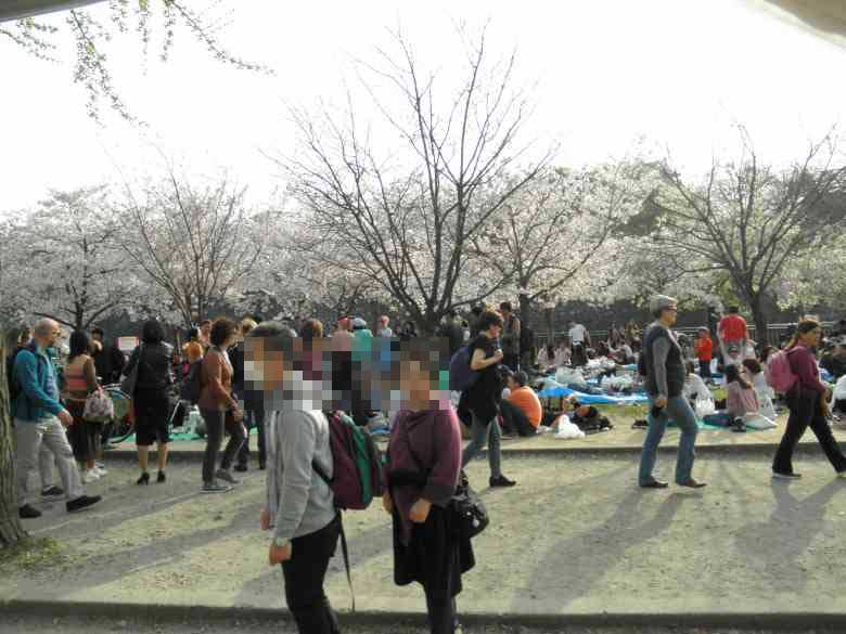 大阪城公園の狭い桜の花見会場